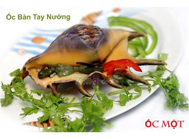 Thom gion bach tuoc sua nuong sa te hinh anh