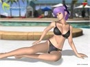 DOA Online Wallpaper (phan 2) hinh anh