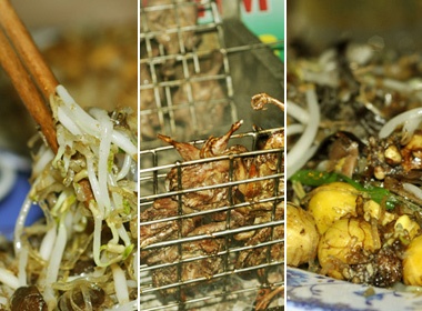 Cac mon chim ngon tuyet o mot quan binh dan hinh anh