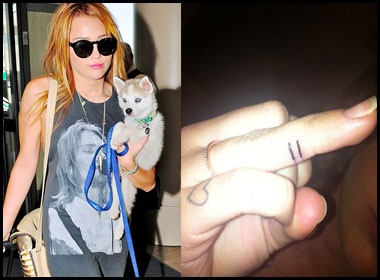 Miley Cyrus xam vi nguoi dong tinh hinh anh