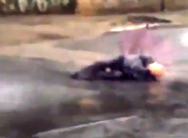 Clip cu ong bi set danh ma khong chet hinh anh