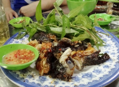 Nham nhi ech nuong muoi ot ngay mua hinh anh