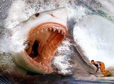 Chu re bi ca map can chet trong tuan trang mat hinh anh