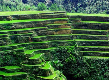 Chiem nguong 'ki quan thu 8' tai Philippines hinh anh