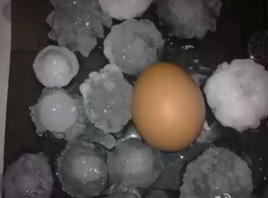 Clip mua da to bang qua trung ga hinh anh