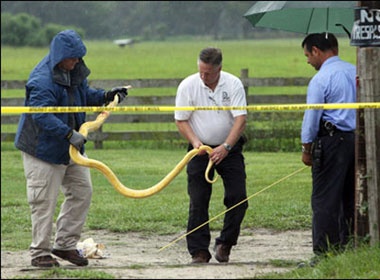 Me ngoi tu vi de tran nuoi can chet con gai hinh anh