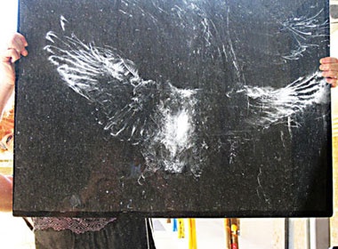 Nhung hinh anh ky quai khi chim va vao kinh hinh anh