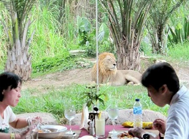 Dung bua cung… da thu hinh anh