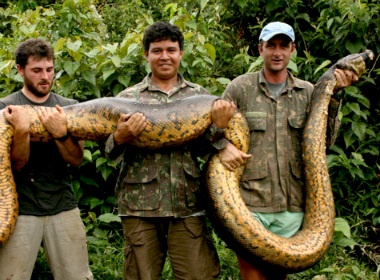 Bat duoc tran khong lo dai 5m, nang 1 ta hinh anh