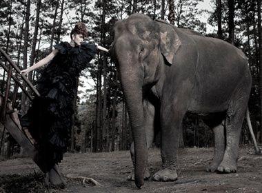 Thi sinh Sieu mau bam tim vi... voi hinh anh