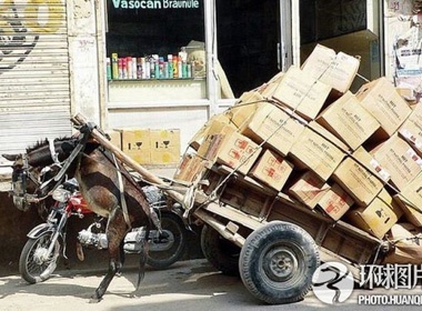 Khiep via voi nhung kieu cho hang qua tai hinh anh