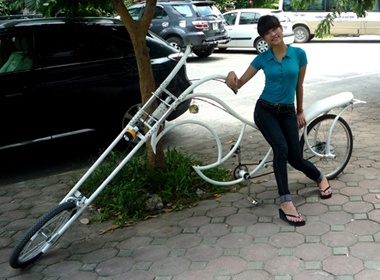 Xe dap kieu dang Harley Davidson doc nhat Viet Nam hinh anh