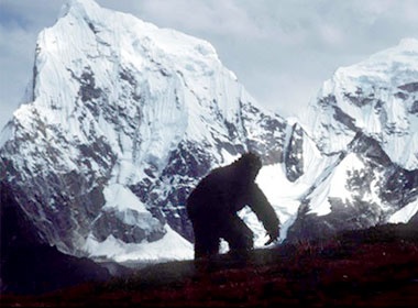 95% kha nang nguoi tuyet co that hinh anh