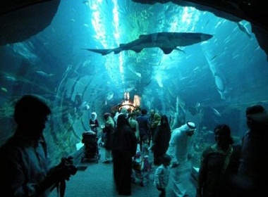 Ngam nhung ho thuy sinh dep nhat the gioi hinh anh