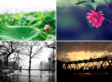 Bon mua Ha Noi lung linh qua goc kinh doc gia hinh anh