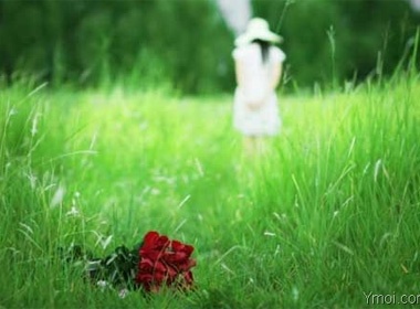 Loi cuoi cho tinh yeu dau hinh anh