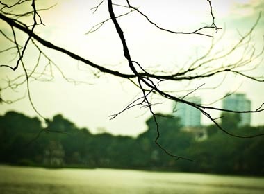 Khoanh khac Ha Noi bon mua hinh anh