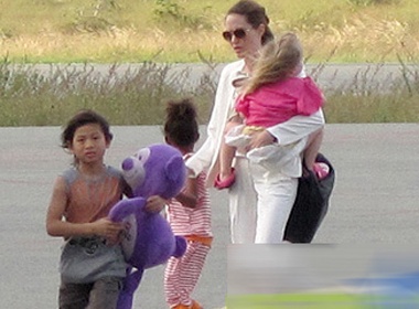 Cu dan mang ung ho Jolie-Pitt dua con ve tham que hinh anh