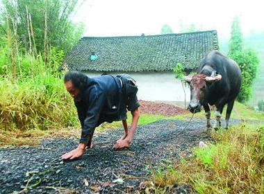 Nguoi dan ong tan tat nhin an, mua trung tam bo cho bo hinh anh