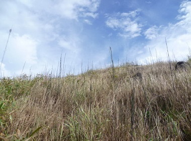 Tuyet tac tren dinh Chua Chan hinh anh