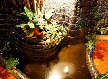 Tha minh voi thien nhien tai Max Cafe hinh anh