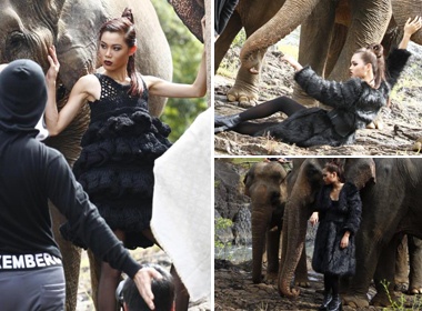 Cac Top Model tao dang ben voi du hinh anh