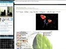 Loan... bang, hoi blog hinh anh