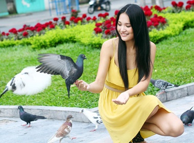 Hoa hau Huong Giang chuyen nghe lam nhiep anh gia hinh anh