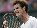 Wimbledon ngay 2: An tuong Murray hinh anh