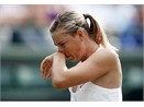 Sharapova va Roddick cung bi loai hinh anh