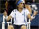 US Open: David Ferrer bat ngo dung buoc hinh anh
