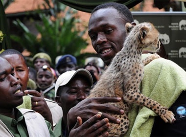 Usain Bolt nhan nuoi bao dom hinh anh