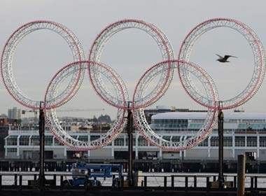 Gai ban hoa tim co hoi o The van hoi mua dong hinh anh