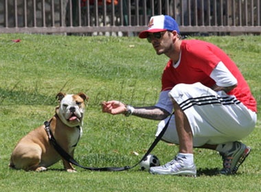 Beckham di dao cung cun cung hinh anh