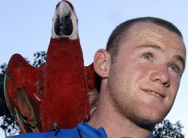 Rooney day vet goi ten con hinh anh