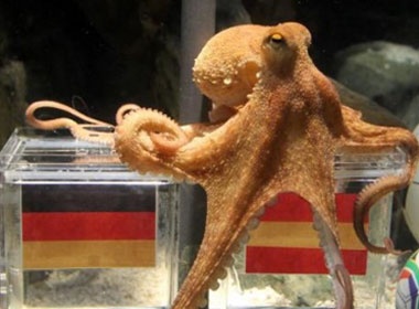 Xon xao tin don 'bach tuoc tien tri' chon TBN thang Duc hinh anh