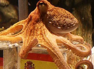 10 dieu thu vi ve ‘bach tuoc tien tri' hinh anh