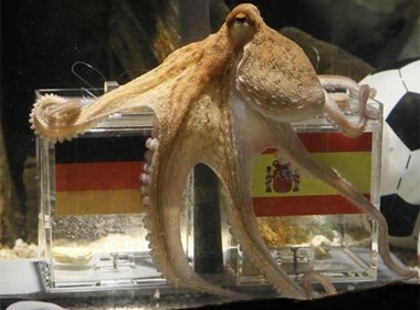 Nhung hinh anh dang nho cua 'bach tuoc tien tri' hinh anh