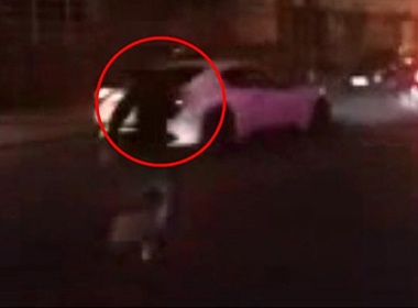 Balotelli bi bao ve hop dem 'dan mat' hinh anh