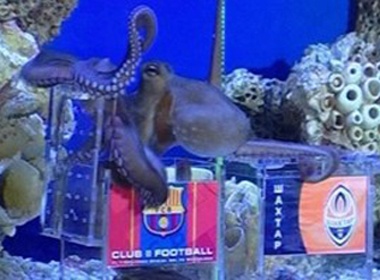 Bach tuoc tien tri de nhi tro tai du doan hinh anh