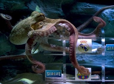 Bach tuoc Iker du doan Real ha Barca hinh anh