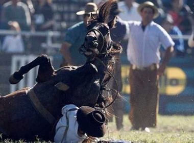 Nhung cu nga ngua kinh hoang cua cac tay nai hinh anh