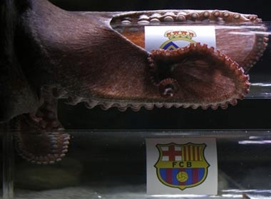 Bach tuoc Iker chon Real vao chung ket Champions League hinh anh