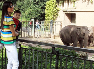 Quy tu bu bam cua 'ong trum' F1 hinh anh