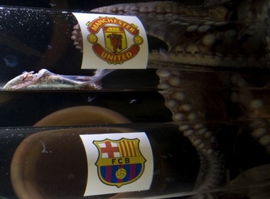 Bach tuoc Iker chon MU vo dich Champions League hinh anh