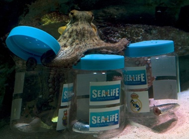 Bach tuoc Messi du doan tran sieu kinh dien Real - Barca hinh anh