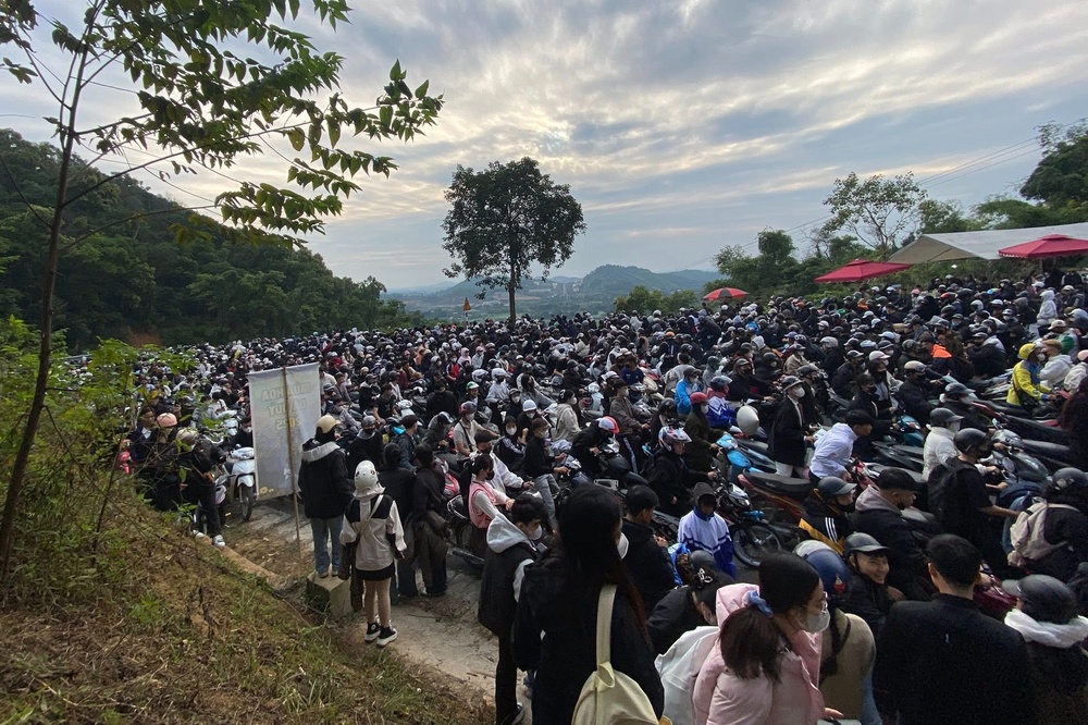 Di tu 3h sang van phai xep hang ngam hoa da quy Ba Vi hinh anh