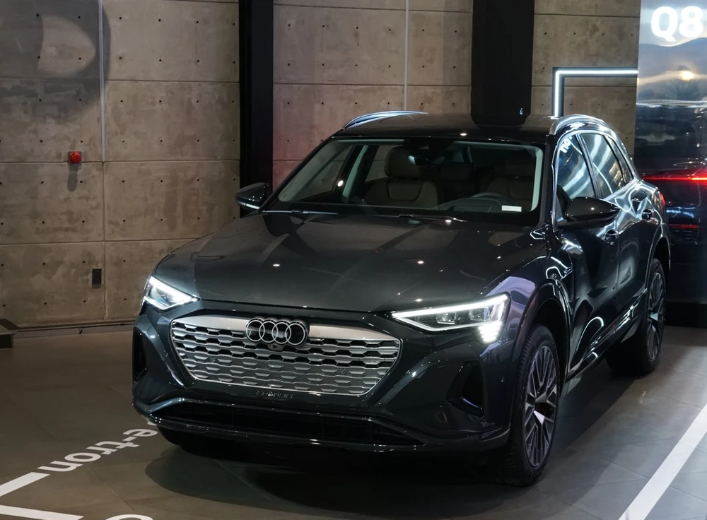 Audi Q8 e-tron gap kho hinh anh