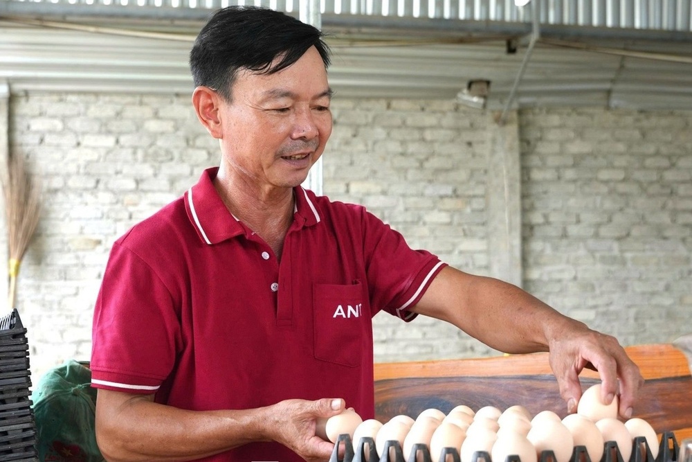 Chuyen ve nong dan xuat sac tung suyt pha san, phai ban ky vat cuoi hinh anh