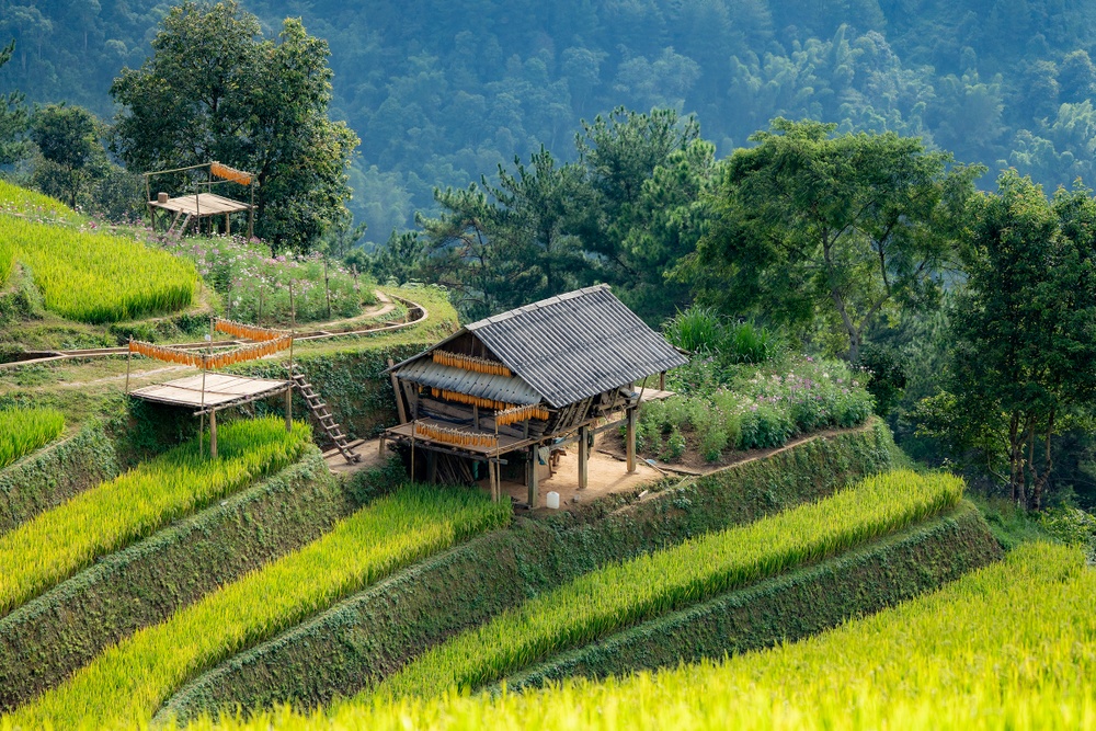 Nhung can 'penthouse' o Mu Cang Chai hinh anh